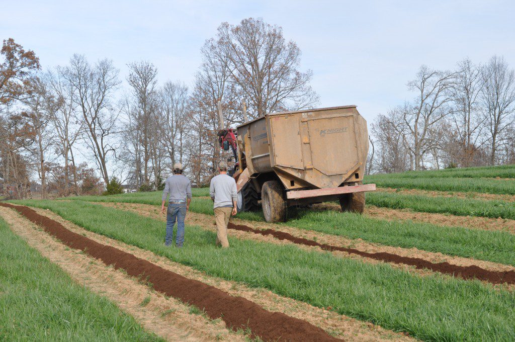 Soil Preparation for Blueberry Farm Plant Installation