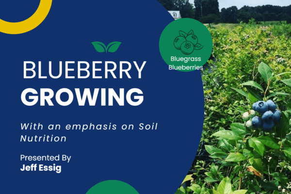 Blueberry Growing Presentation PDF File