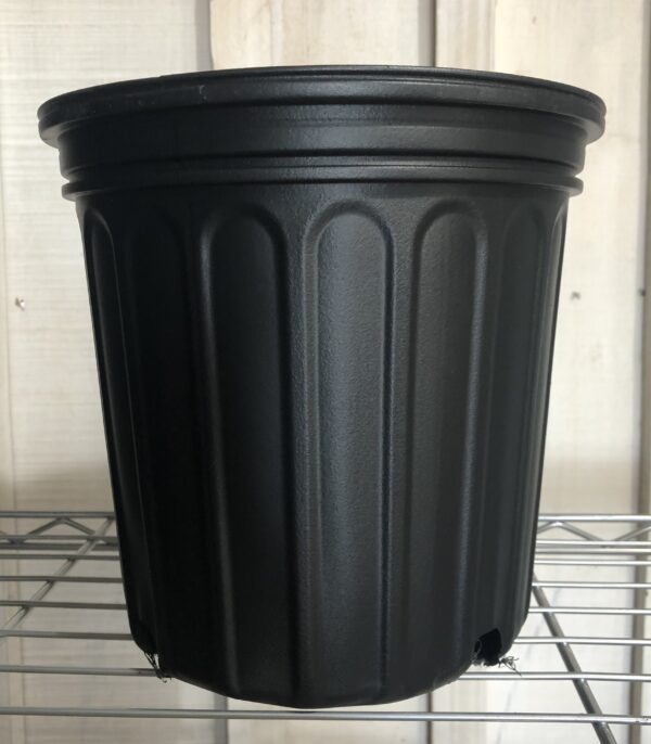 Nursery Pot - 2 Gal Trade/Pack of 20